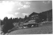 bosco (Positivo) (1950/01/01 - 1969/12/31)