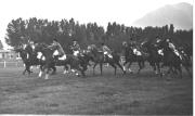 Wettkampf: Pferderennen (Positivo) di Foto Celere, Meran (1946/01/01 - 1959/12/31)