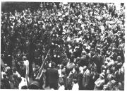 Mustermesse Bozen (Positivo) (1950/01/01 - 1969/12/31)