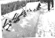 Motiv: Winter (Positivo) (1950/01/01 - 1969/12/31)