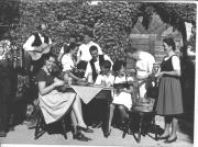 Traube (Positivo) di Foto Fuchs-Hauffen, Überlingen (1960/01/01 - 1979/12/31)