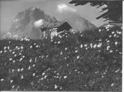 baita (Positivo) di Foto Edizioni Ghedina (1950/01/01 - 1979/12/31)