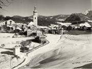 bosco (Positivo) di Foto Sandro Saltuari, Bozen (1950/01/01 - 1969/12/31)