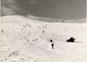 sport invernale (Positivo) di Foto Sandro Saltuari, Bozen (1950/01/01 - 1969/12/31)