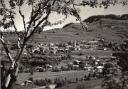 bosco (Positivo) (1950/01/01 - 1969/12/31)