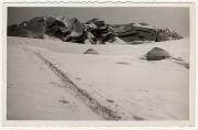 Wintersport, Skispuren im Schnee (Positivo) di Foto Fränzl (1920/01/01 - 1949/12/31)