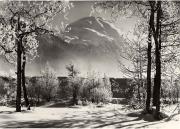 Motiv: Winter (Positivo) (1930/01/01 - 1969/12/31)