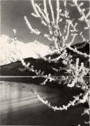 Bergsee (Positivo) (1930/01/01 - 1959/12/31)