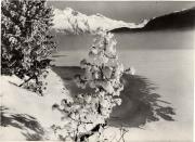 Bergsee (Positivo) (1930/01/01 - 1959/12/31)