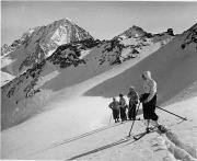 Wintersport, Skifahrer (Positivo) (1930/01/01 - 1959/12/31)