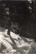 Motiv: Winter (Positivo) (1930/01/01 - 1969/12/31)