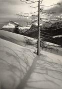 Motiv: Winter (Positivo) di Foto Hermann Frass, Bozen (1945/05/01 - 1969/12/31)