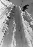 uomo (Positivo) di Foto Pedrotti, Bozen (1930/01/01 - 1959/12/31)