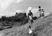 bambina (Positivo) (1950/01/01 - 1969/12/31)