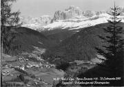 bosco (Positivo) di Foto Edizioni Ghedina (1946/01/01 - 1979/12/31)