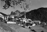 bosco (Positivo) di Foto Edizioni Ghedina (1946/01/01 - 1969/10/01)