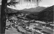 bosco (Positivo) di Foto Edizioni Ghedina (1950/01/01 - 1979/12/31)
