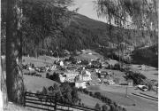 bosco (Positivo) di Foto Edizioni Ghedina (1950/01/01 - 1979/12/31)