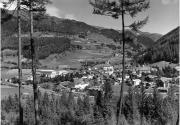bosco (Positivo) di Foto Edizioni Ghedina (1950/01/01 - 1979/12/31)