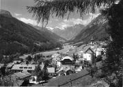 bosco (Positivo) di Foto Edizioni Ghedina (1950/01/01 - 1979/12/31)