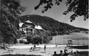 bosco (Positivo) di Foto Edizioni Ghedina (1950/01/01 - 1979/12/31)