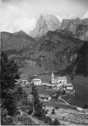 bosco (Positivo) di Foto Edizioni Ghedina (1950/01/01 - 1979/12/31)