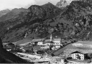 bosco (Positivo) di Foto Edizioni Ghedina (1950/01/01 - 1979/12/31)