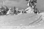 Motiv: Winter (Positivo) di Foto Edizioni Ghedina (1950/01/01 - 1979/12/31)