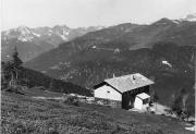 Schutzhütte Enzianhütte (Brennerbad) (Positivo) di Foto Edizioni Ghedina (1950/01/01 - 1979/12/31)