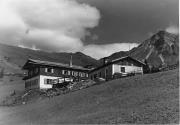 bosco (Positivo) di Foto Edizioni Ghedina (1950/01/01 - 1979/12/31)