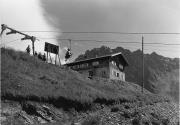 Schutzhütte Enzianhütte (Brennerbad) (Positivo) di Foto Edizioni Ghedina (1950/01/01 - 1979/12/31)