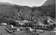 bosco (Positivo) di Foto Edizioni Ghedina (1950/01/01 - 1979/12/31)