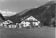bosco (Positivo) di Foto Edizioni Ghedina (1950/01/01 - 1979/12/31)