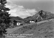 bosco (Positivo) (1950/01/01 - 1979/12/31)