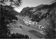 bosco (Positivo) di Foto Edizioni Ghedina (1950/01/01 - 1979/12/31)