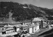 bosco (Positivo) di Foto Edizioni Ghedina (1950/01/01 - 1979/12/31)