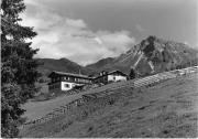 bosco (Positivo) di Foto Edizioni Ghedina (1950/01/01 - 1979/12/31)