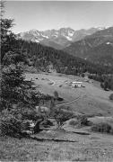 bosco (Positivo) di Foto Edizioni Ghedina (1950/01/01 - 1979/12/31)