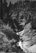 Nadelwald (Positivo) di Foto Edizioni Ghedina (1950/01/01 - 1979/12/31)