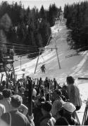 Skifahrer (Positivo) di Foto Hermann Frass, Bozen (1950/01/01 - 1979/12/31)