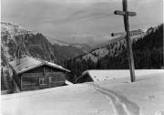 bosco (Positivo) di Foto Edizioni Ghedina (1950/01/01 - 1979/12/31)