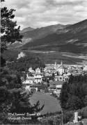 bosco (Positivo) di Foto Edizioni Ghedina (1950/01/01 - 1979/12/31)