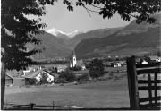 bosco (Positivo) di Foto Edizioni Ghedina (1950/01/01 - 1979/12/31)