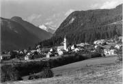 bosco (Positivo) di Foto Edizioni Ghedina (1950/01/01 - 1979/12/31)