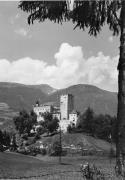 bosco (Positivo) di Foto Edizioni Ghedina (1950/01/01 - 1979/12/31)