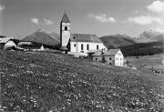 bosco (Positivo) di Foto Edizioni Ghedina (1950/01/01 - 1979/12/31)