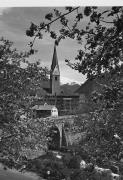 frutteto (Positivo) di Foto Edizioni Ghedina (1946/01/01 - 1962/09/04)