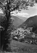 bosco (Positivo) di Foto Edizioni Ghedina (1950/01/01 - 1979/12/31)