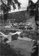 bosco (Positivo) di Foto Edizioni Ghedina (1950/01/01 - 1979/12/31)
