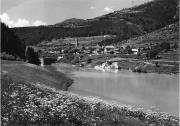 bosco (Positivo) di Foto Edizioni Ghedina (1950/01/01 - 1979/12/31)